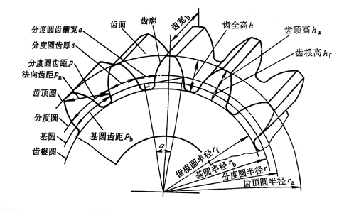 標準直齒輪外部結(jié)構(gòu)圖.jpg